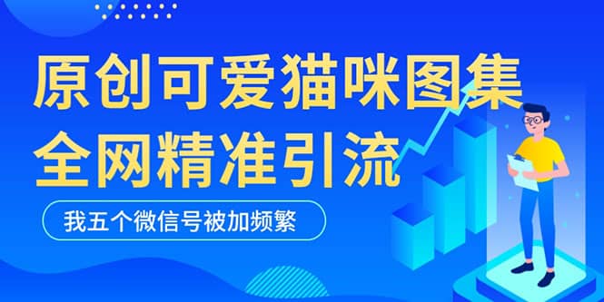 黑科技纯原创可爱猫咪图片，全网精准引流，实操5个VX号被加频繁网创库-网创项目资源站-副业项目-创业项目-搞钱项目网创库