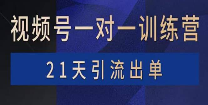 视频号训练营：带货，涨粉，直播，游戏，四大变现新方向，21天引流出单网创库-网创项目资源站-副业项目-创业项目-搞钱项目网创库