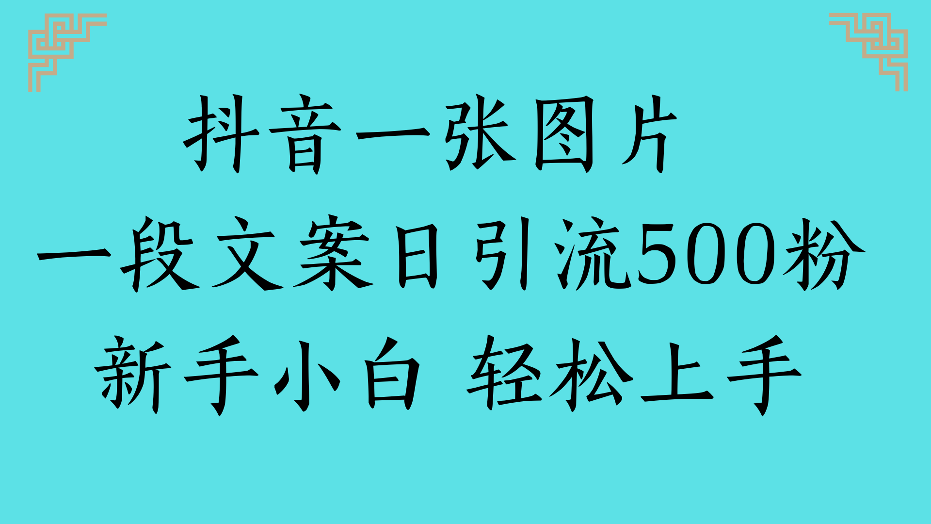 抖音一张图片 一段文案日引流500粉新手小白 轻松上手网创库-网创项目资源站-副业项目-创业项目-搞钱项目网创库