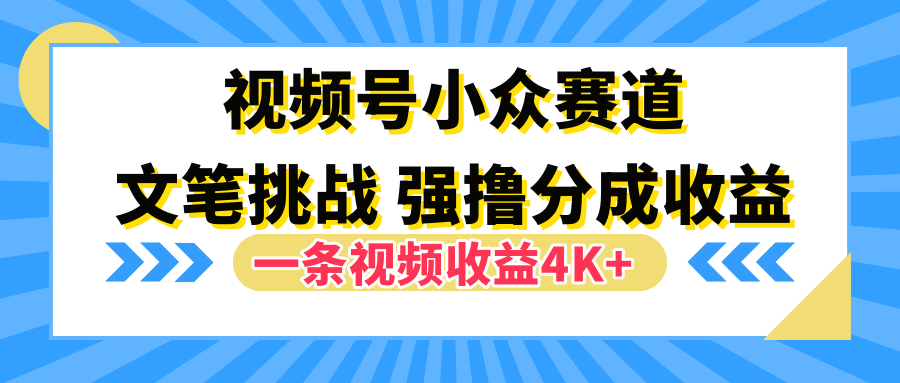 视频号小众赛道，文笔挑战，一条视频收益4K+网创库-网创项目资源站-副业项目-创业项目-搞钱项目网创库