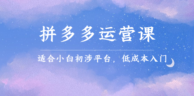 拼多多运营课，适合小白初涉平台，低成本入门网创库-网创项目资源站-副业项目-创业项目-搞钱项目网创库