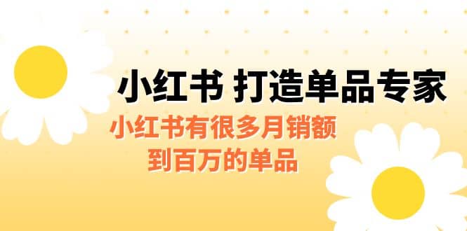 某公众号付费文章《小红书 打造单品专家》小红书有很多月销额到百万的单品网创库-网创项目资源站-副业项目-创业项目-搞钱项目网创库