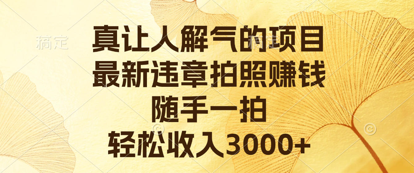真让人解气的项目，最新违章拍照赚钱，随手一拍，轻松收入3000+网创库-网创项目资源站-副业项目-创业项目-搞钱项目网创库