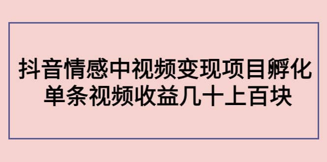 抖音情感中视频变现项目孵化网创库-网创项目资源站-副业项目-创业项目-搞钱项目网创库