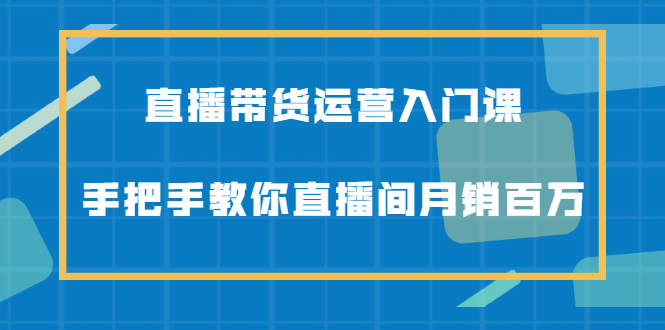 直播带货运营入门课，手把手教你直播间月销百万网创库-网创项目资源站-副业项目-创业项目-搞钱项目网创库