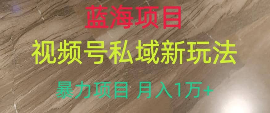 蓝海项目，视频号私域新玩法，暴力项目月入1万+【揭秘】网创库-网创项目资源站-副业项目-创业项目-搞钱项目网创库
