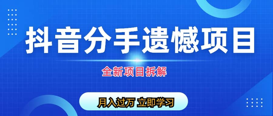 自媒体抖音分手遗憾项目私域项目拆解网创库-网创项目资源站-副业项目-创业项目-搞钱项目网创库