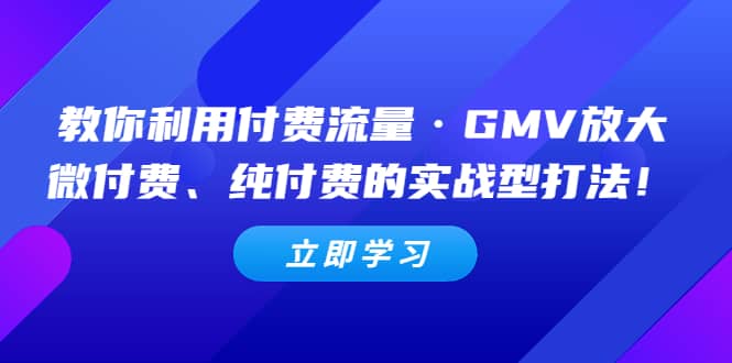 教你利用付费流量·GMV放大，微付费、纯付费的实战型打法网创库-网创项目资源站-副业项目-创业项目-搞钱项目网创库