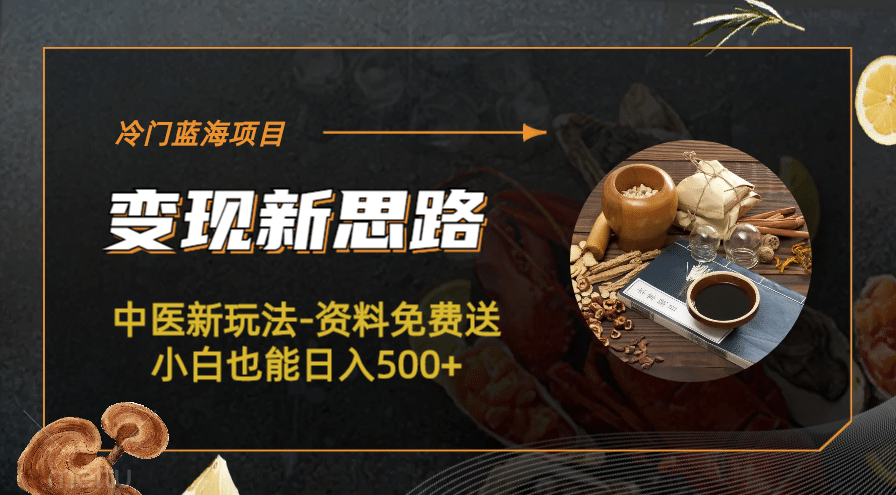 冷门蓝海项目-中医新玩法-冷门蓝海项目-中医新玩法-资料免费送小白也能日入500+500+网创库-网创项目资源站-副业项目-创业项目-搞钱项目网创库