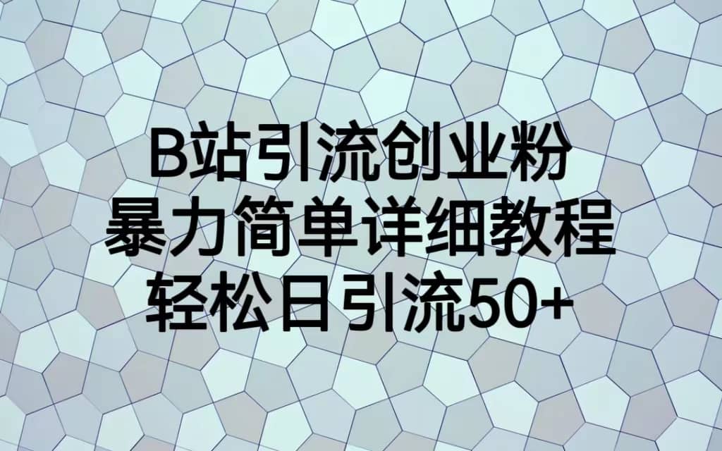 B站引流创业粉，暴力简单详细教程，轻松日引流50+网创库-网创项目资源站-副业项目-创业项目-搞钱项目网创库