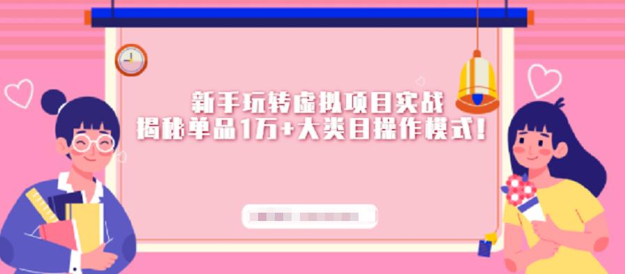 新手玩转虚拟项目实战，揭秘单品1万+大类目操作模式【视频课程】网创库-网创项目资源站-副业项目-创业项目-搞钱项目网创库