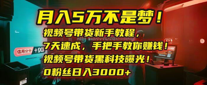 月入5万不是梦！视频号带货新手教程，7天速成，手把手教你赚钱！视频号带货黑科技曝光！0粉丝日入3000+网创库-网创项目资源站-副业项目-创业项目-搞钱项目网创库