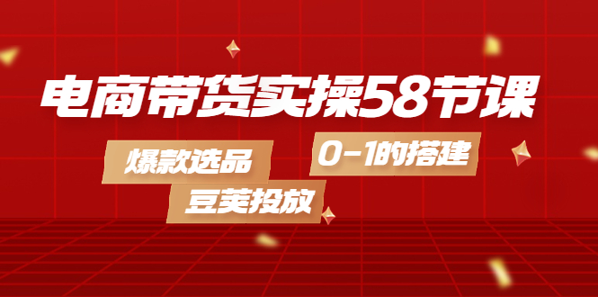 电商带货实操58节课，爆款选品，豆荚投放，0-1的搭建网创库-网创项目资源站-副业项目-创业项目-搞钱项目网创库