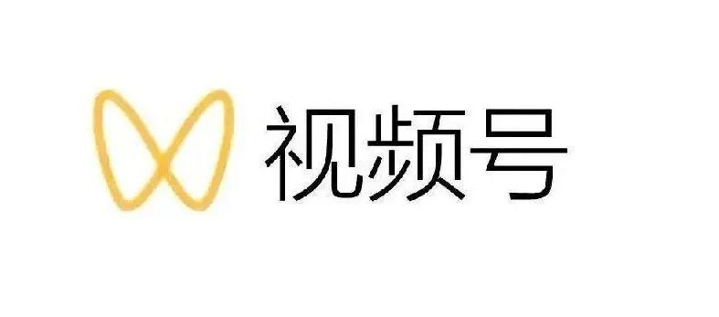 最新视频号解读，视频号真相+变现玩法【视频课程】网创库-网创项目资源站-副业项目-创业项目-搞钱项目网创库