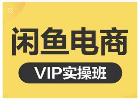 闲鱼电商零基础入门到进阶VIP实战课程，帮助你掌握闲鱼电商所需的各项技能网创库-网创项目资源站-副业项目-创业项目-搞钱项目网创库