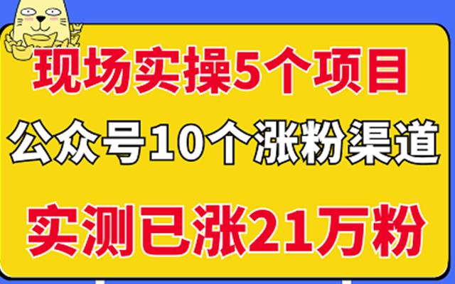 现场实操5个公众号项目，10个涨粉渠道，实测已涨21万粉！网创库-网创项目资源站-副业项目-创业项目-搞钱项目网创库