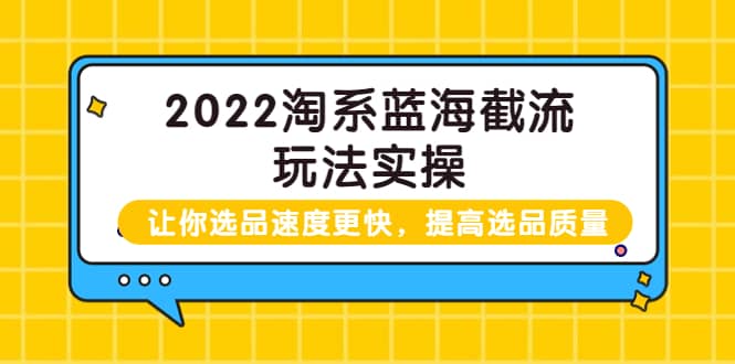 2022淘系蓝海截流玩法实操：让你选品速度更快，提高选品质量（价值599）网创库-网创项目资源站-副业项目-创业项目-搞钱项目网创库