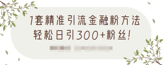 1套精准引流金融粉方法，轻松日引300+粉丝【视频课程】网创库-网创项目资源站-副业项目-创业项目-搞钱项目网创库