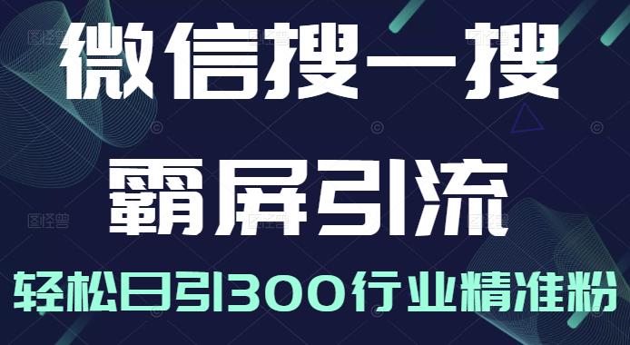 微信搜一搜霸屏引流课，打造被动精准引流系统，轻松日引300行业精准粉【无水印】网创库-网创项目资源站-副业项目-创业项目-搞钱项目网创库