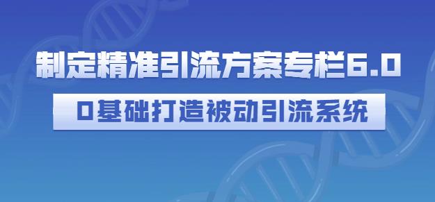 制定精准引流方案专栏6.0，0基础打造被动引流系统网创库-网创项目资源站-副业项目-创业项目-搞钱项目网创库
