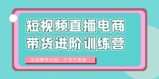 短视频直播电商带货进阶训练营：实战教学内容，干货不废话网创库-网创项目资源站-副业项目-创业项目-搞钱项目网创库