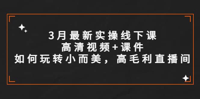 3月最新实操线下课高清视频+课件，如何玩转小而美，高毛利直播间网创库-网创项目资源站-副业项目-创业项目-搞钱项目网创库