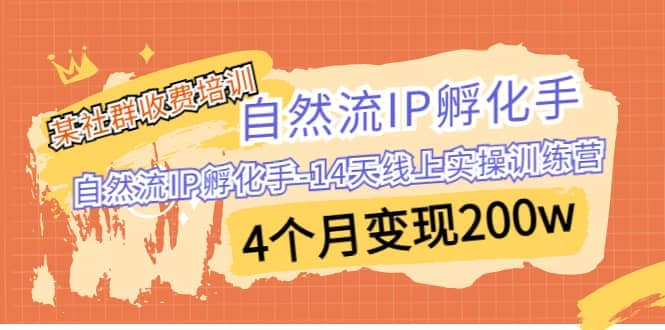 某社群收费培训：自然流IP 孵化手-14天线上实操训练营 4个月变现200w网创库-网创项目资源站-副业项目-创业项目-搞钱项目网创库