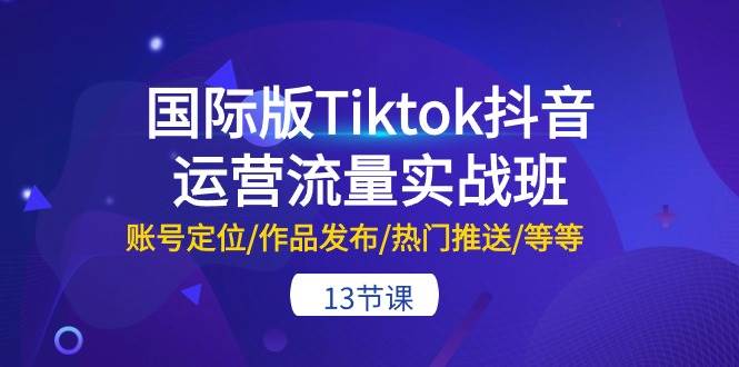 国际版Tiktok抖音运营流量实战班：账号定位/作品发布/热门推送/等等-13节网创库-网创项目资源站-副业项目-创业项目-搞钱项目网创库