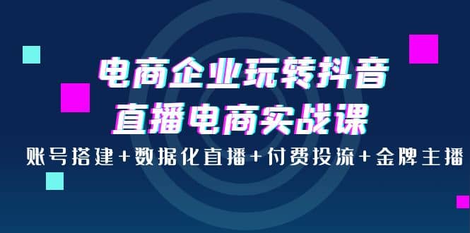 电商企业玩转抖音直播电商实战课：账号搭建+数据化直播+付费投流+金牌主播网创库-网创项目资源站-副业项目-创业项目-搞钱项目网创库