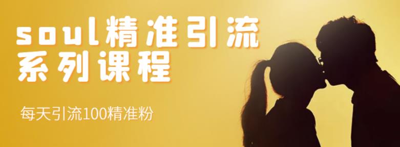 soul精准引流系列课程，每天引流100精准粉网创库-网创项目资源站-副业项目-创业项目-搞钱项目网创库