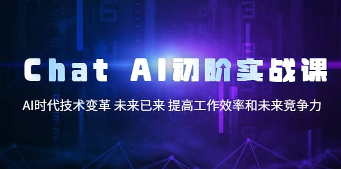 Chat AI初阶实战课，AI时代技术变革 未来已来 提高工作效率和未来竞争力网创库-网创项目资源站-副业项目-创业项目-搞钱项目网创库