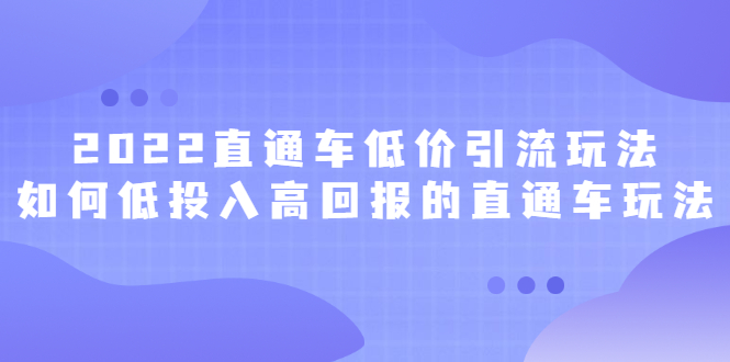 2022直通车低价引流玩法，教大家如何低投入高回报的直通车玩法网创库-网创项目资源站-副业项目-创业项目-搞钱项目网创库
