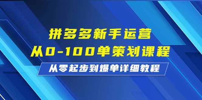 拼多多新手运营从0-100单策划课程，从零起步到爆单详细教程网创库-网创项目资源站-副业项目-创业项目-搞钱项目网创库