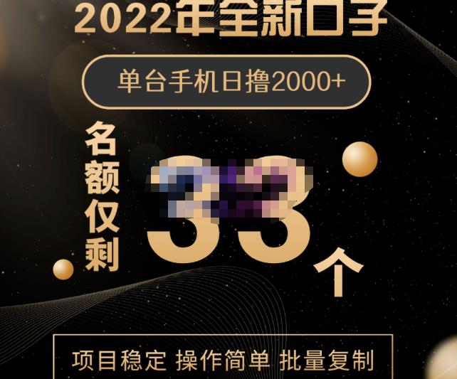 2022年全新口子，手机批量搬砖玩法，一部手机日撸2000+网创库-网创项目资源站-副业项目-创业项目-搞钱项目网创库