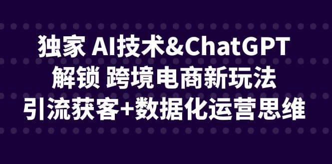 独家 AI技术ChatGPT解锁 跨境电商新玩法，引流获客+数据化运营思维网创库-网创项目资源站-副业项目-创业项目-搞钱项目网创库