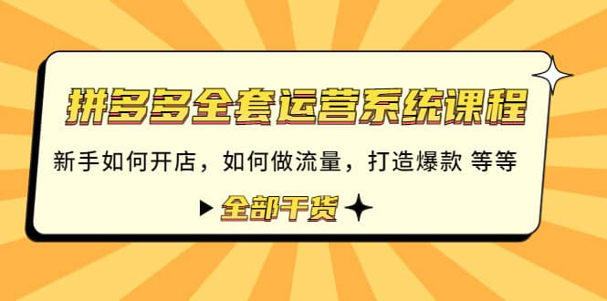 拼多多全套运营系统课程：新手如何开店 如何做流量 打造爆款 等等 全部干货网创库-网创项目资源站-副业项目-创业项目-搞钱项目网创库
