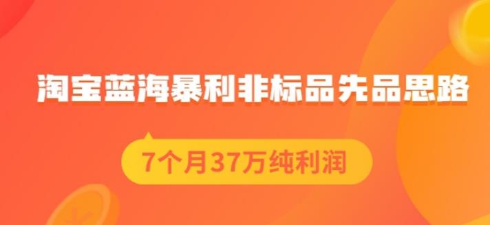 盗坤淘宝蓝海暴利非标品先品思路，7个月37万纯利润，压箱干货分享！【付费文章】网创库-网创项目资源站-副业项目-创业项目-搞钱项目网创库