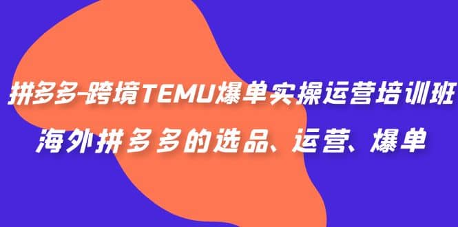 拼多多-跨境TEMU爆单实操运营培训班，海外拼多多的选品、运营、爆单网创库-网创项目资源站-副业项目-创业项目-搞钱项目网创库