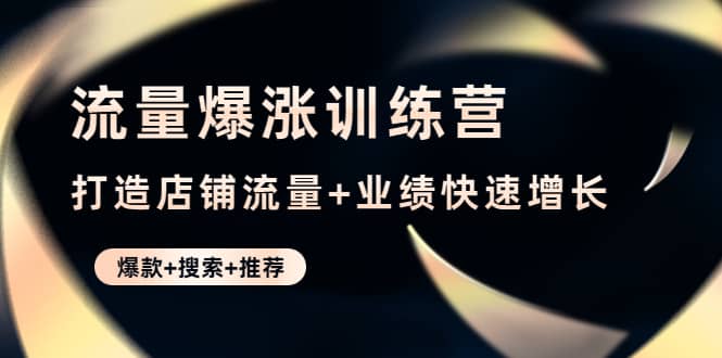 流量爆涨训练营：打造店铺流量+业绩快速增长 (爆款+搜索+推荐)网创库-网创项目资源站-副业项目-创业项目-搞钱项目网创库