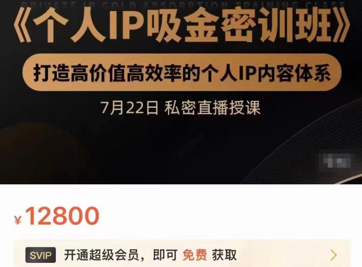 个人IP吸金密训班，打造高价值高效率的个人IP内容体系（价值12800元）网创库-网创项目资源站-副业项目-创业项目-搞钱项目网创库