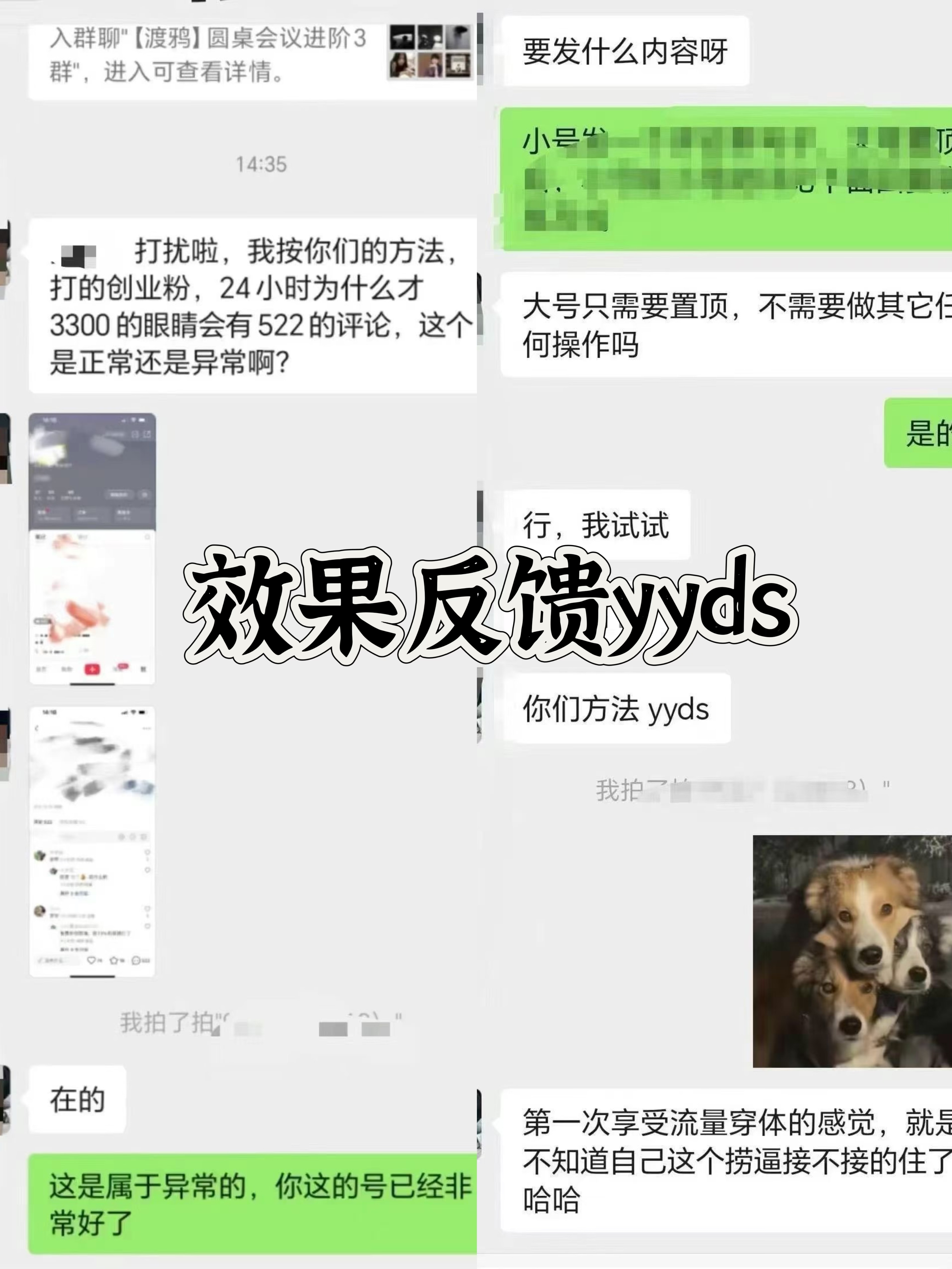 小红书，视频号，抖音黑科技引流玩法，全域平台截流自热打法 日引500+精准粉网创库-网创项目资源站-副业项目-创业项目-搞钱项目网创库