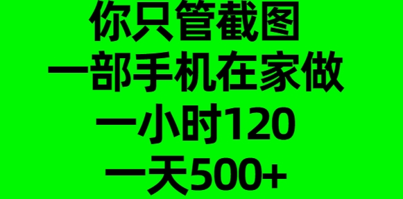 你只管截图，一部手机在家做，一小时120，一天500+网创库-网创项目资源站-副业项目-创业项目-搞钱项目网创库