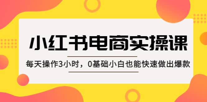 小红书·电商实操课：每天操作3小时，0基础小白也能快速做出爆款网创库-网创项目资源站-副业项目-创业项目-搞钱项目网创库
