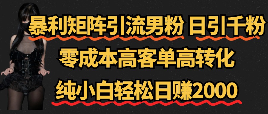 暴利矩阵引流男粉（日引千粉），零成本高客单高转化，纯小白轻松日赚2000+网创库-网创项目资源站-副业项目-创业项目-搞钱项目网创库