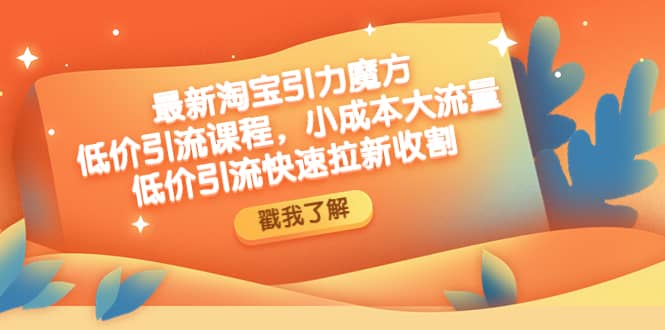 最新淘宝引力魔方低价引流实操：小成本大流量网创库-网创项目资源站-副业项目-创业项目-搞钱项目网创库