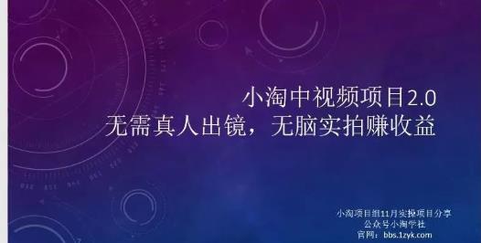小淘项目组网赚永久会员，绝对是具有实操价值的，适合有项目做需要流程【持续更新】网创库-网创项目资源站-副业项目-创业项目-搞钱项目网创库
