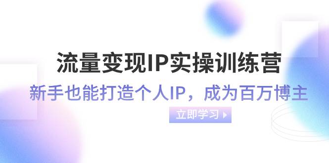 流量变现-IP实操训练营：新手也能打造个人IP，成为百万博主（46节课）网创库-网创项目资源站-副业项目-创业项目-搞钱项目网创库