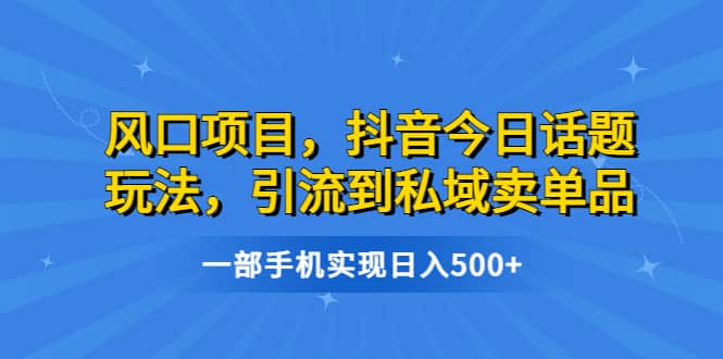 风口项目，抖音今日话题玩法，引流到私域卖单品，一部手机实现日入500+网创库-网创项目资源站-副业项目-创业项目-搞钱项目网创库
