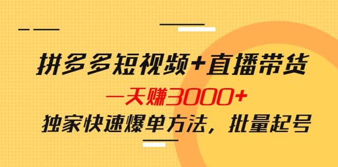 拼多多短视频+直播带货，一天赚3000+独家快速爆单方法，批量起号网创库-网创项目资源站-副业项目-创业项目-搞钱项目网创库