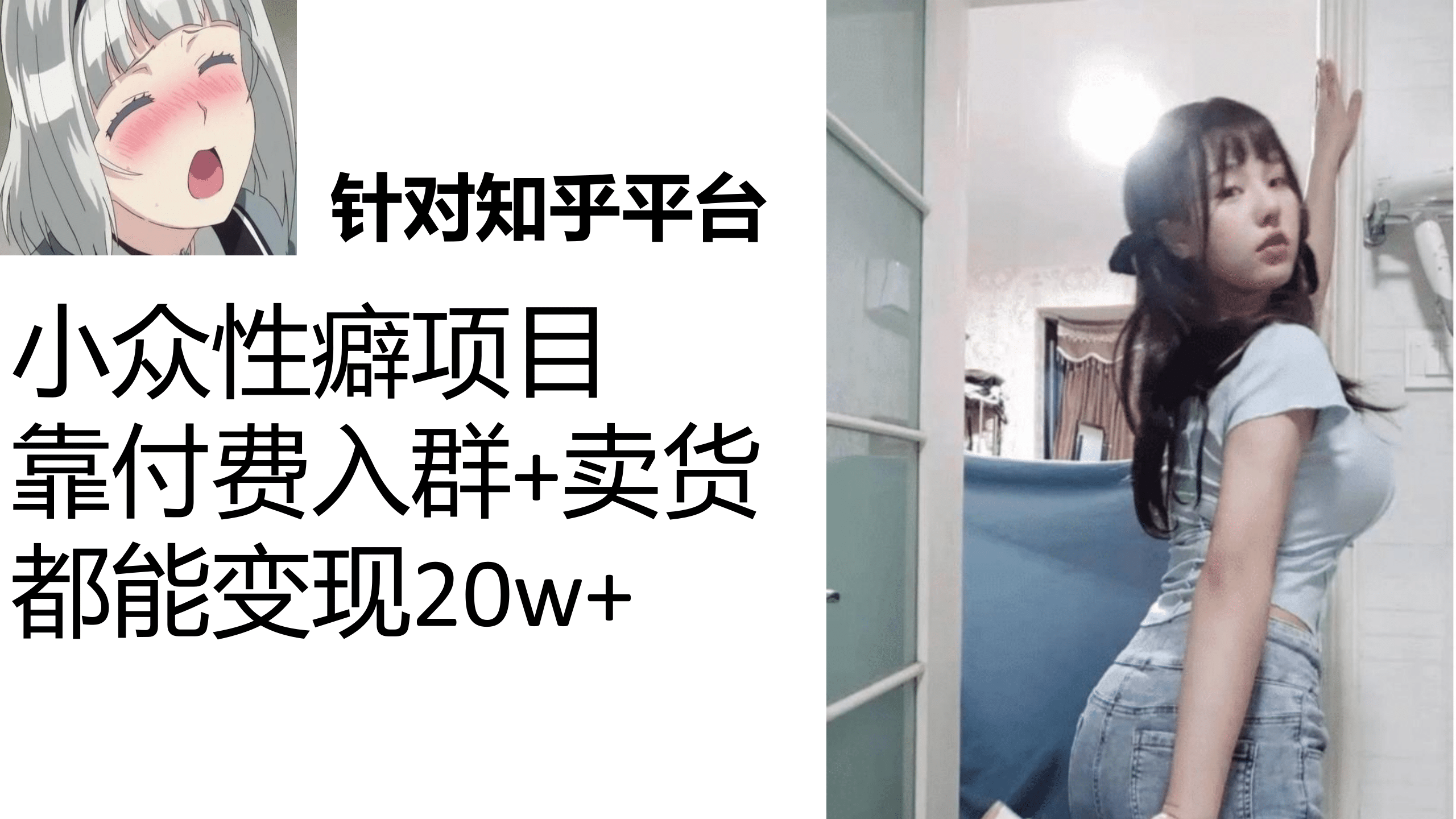 知乎小众性癖项目，Lsp的钱才是最好赚的，付费建群+卖货变现20w网创库-网创项目资源站-副业项目-创业项目-搞钱项目网创库